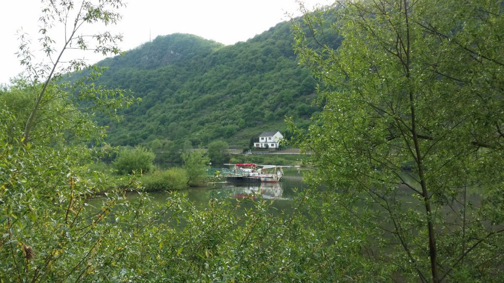 Mosel2