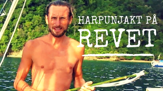 harpunsex