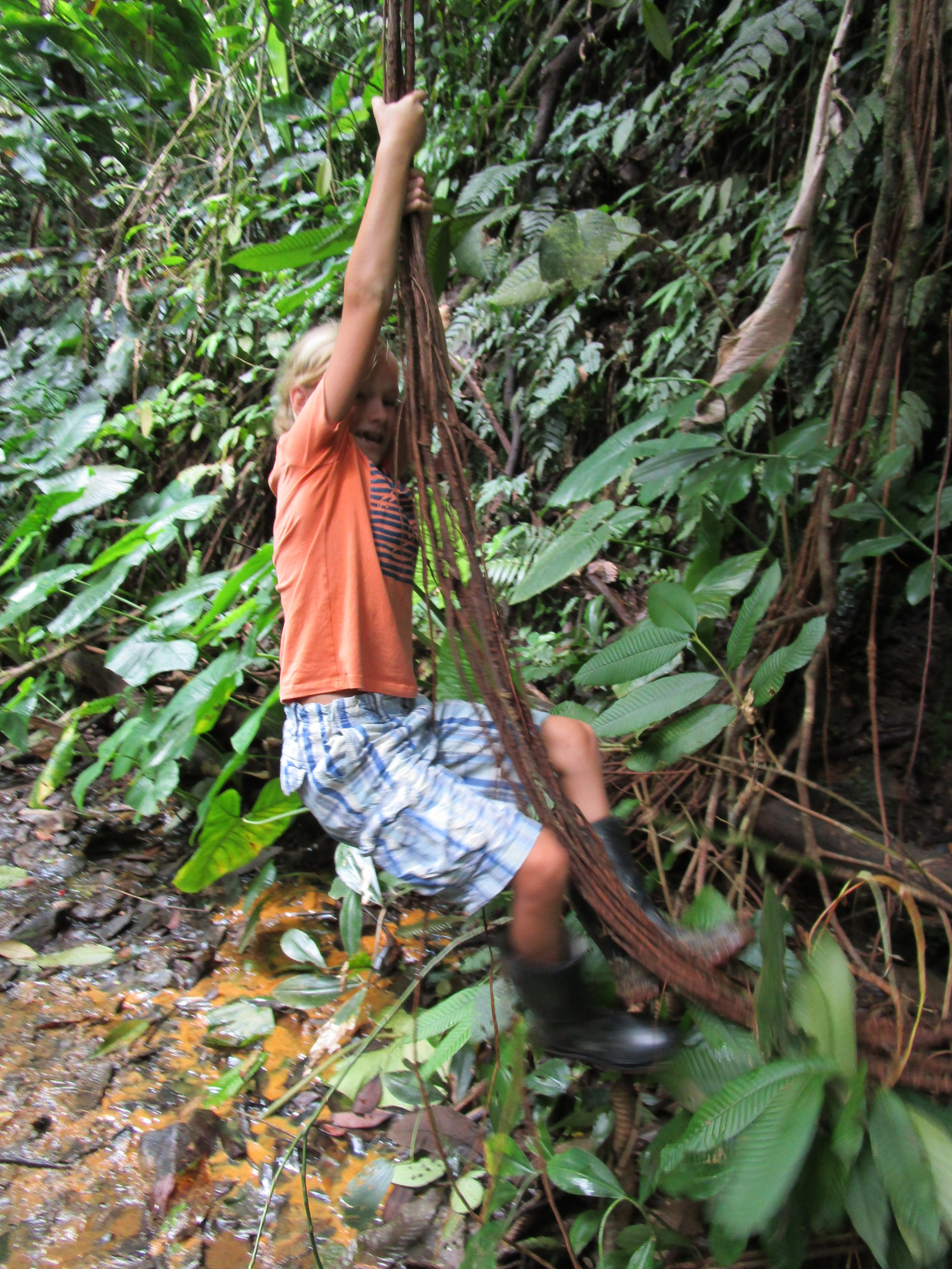 Tarzan Troels