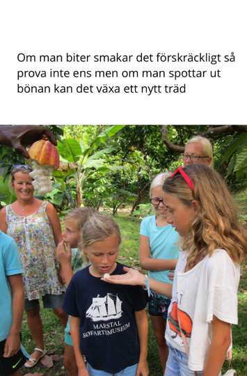 Troels smakar