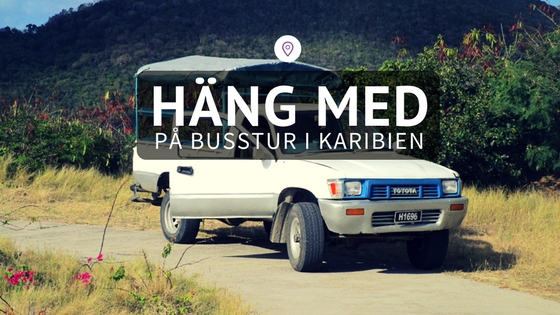Buss i Karibien