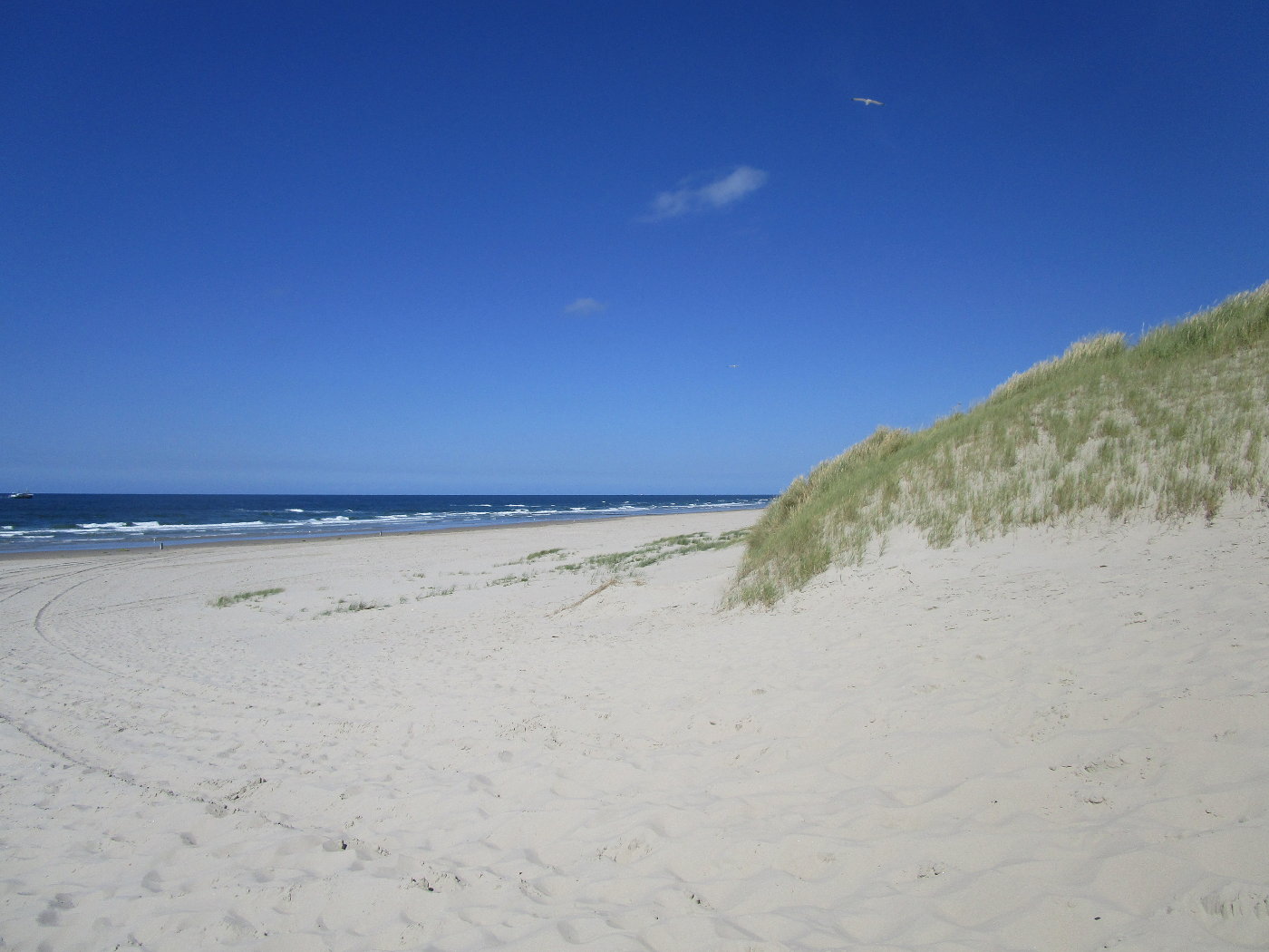 vlieland-strand