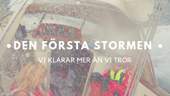 Den forsta stormen